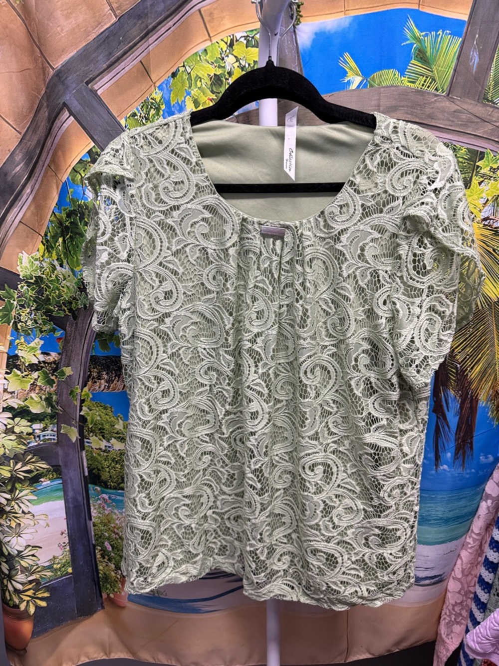 NY Collection Women Lace Overlay Scoop Neck Top in Sage Green